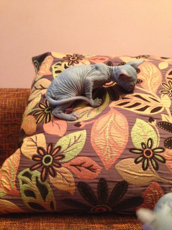 Наши малышастики!!!