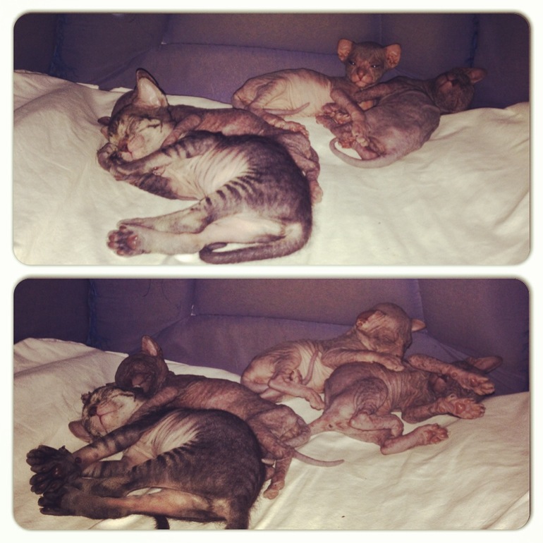 Мой дет.сад))))