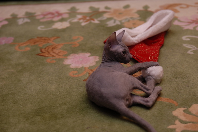 Волосатая Люська))