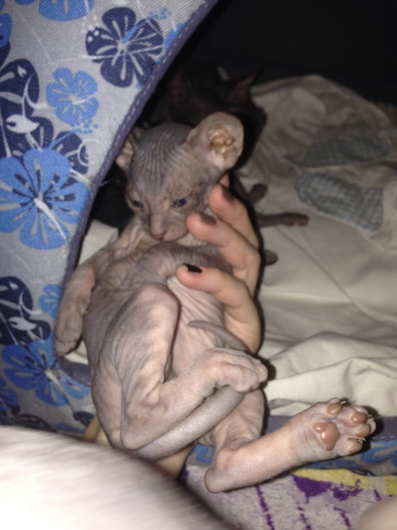 1 месяц ушастикам!!!))