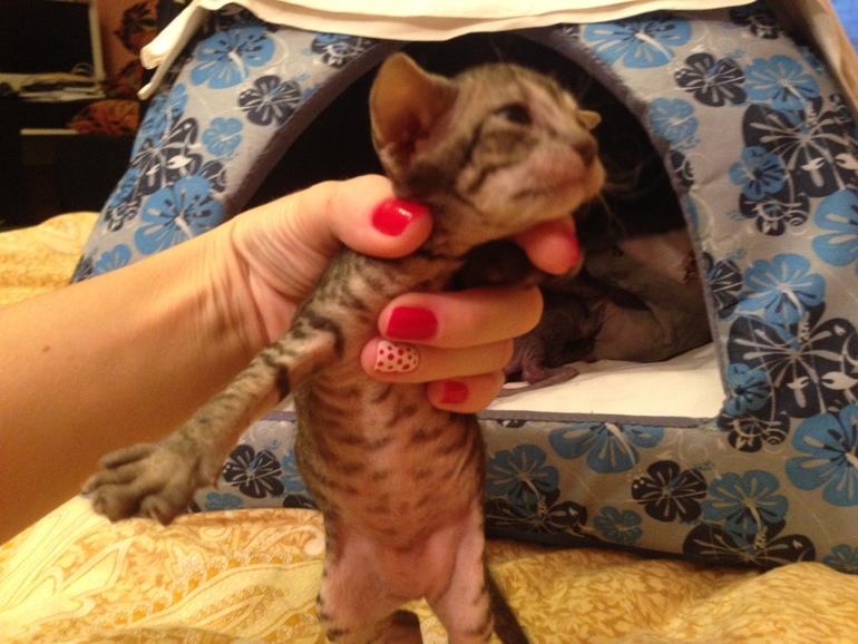 Мой дет.сад))))