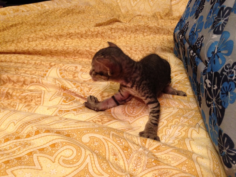 Мой дет.сад))))