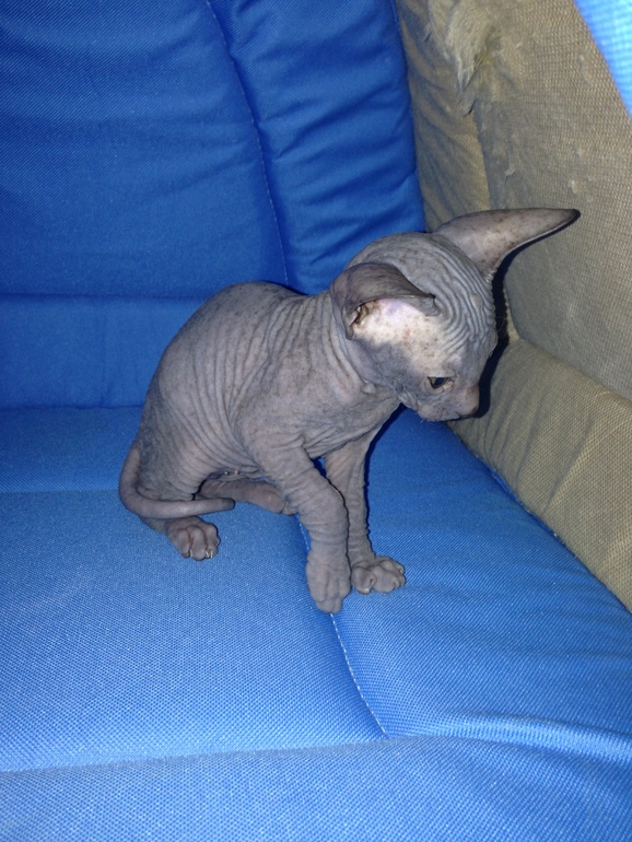 Наши малышастики!!!