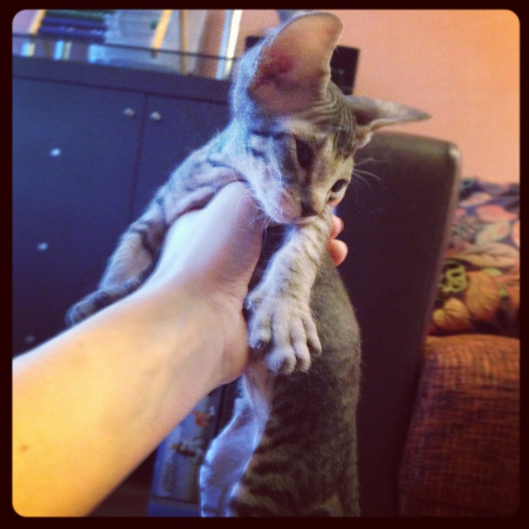 Наши малышастики!!!