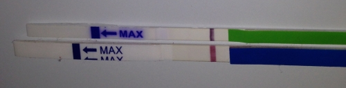 Фрау и МонАми