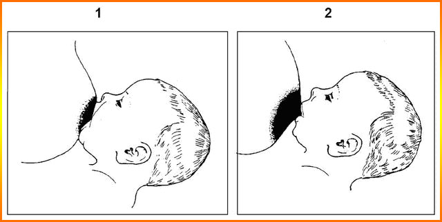 ee1fbebe7503f90eb28170aeb86c317e.jpg