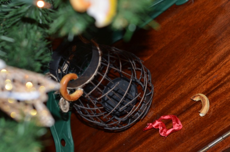 Первая подготовка к Новому Году и наша елочка