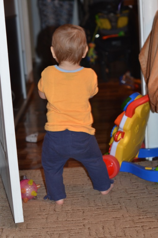 Первая подготовка к Новому Году и наша елочка