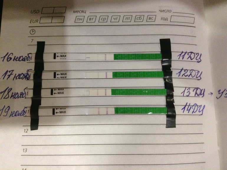 Это она или только завтра будет?