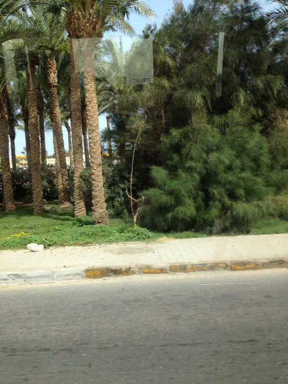 Египет Хургада Март