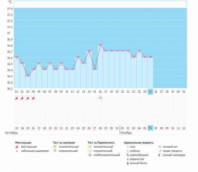 была ли овуляция