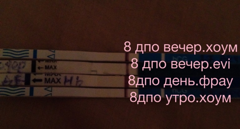 Рано радовалась((