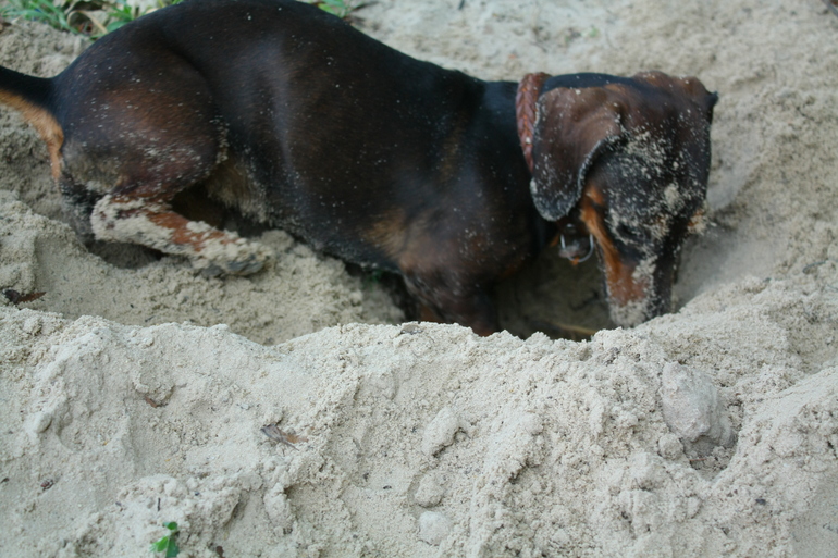 Наша "девушка с характером"!