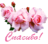 ee2f4b8b6c9e379e8e1e23014fd8e23c.gif