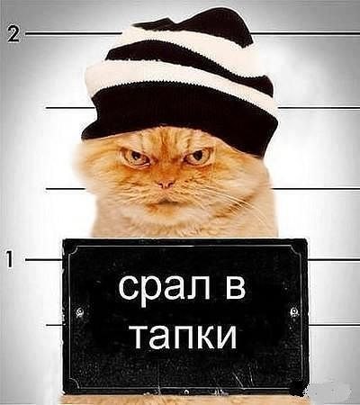 f55f7d56c95cefe7e8f147239bdf07db.jpg