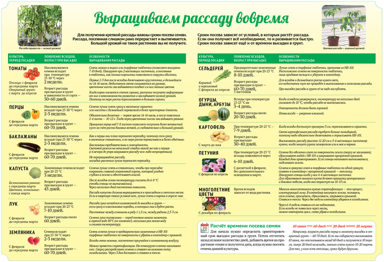 e9b604b5224a968dc5658e0c81825739.jpg