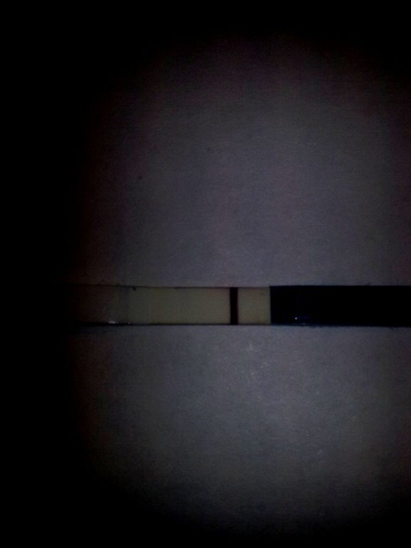 6a10af6dc372bb62f07aaab850d0c79d.jpg