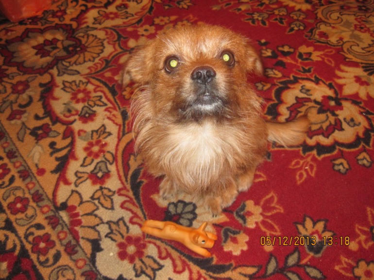 Моя волшебная снегурочка!!!!