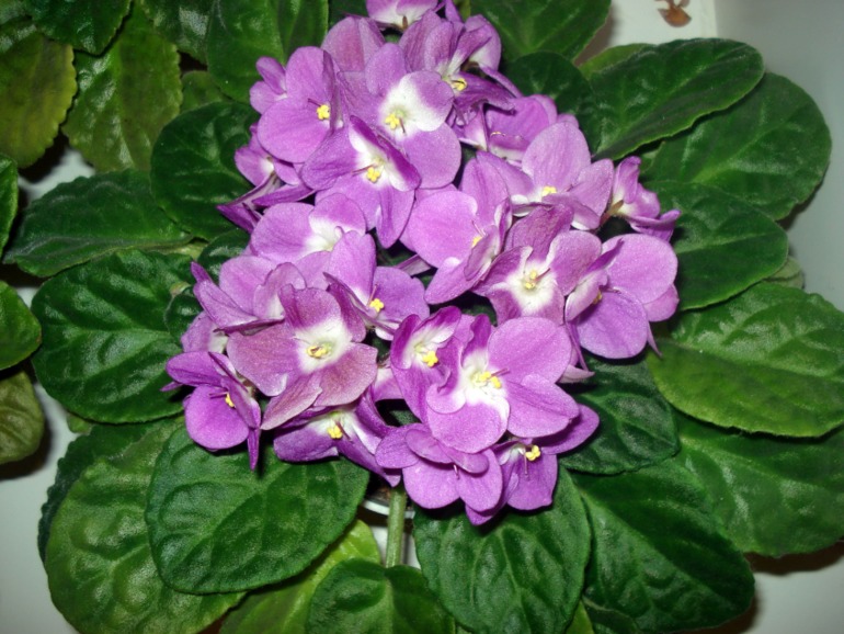 Как и обещала))