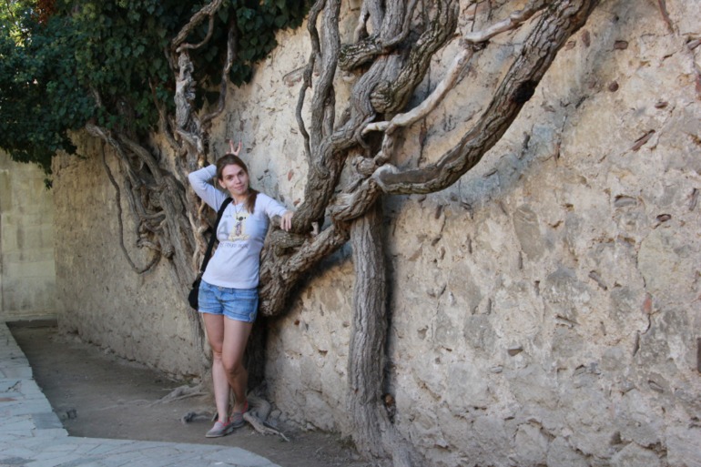 тур по Крыму. Продолжение 2