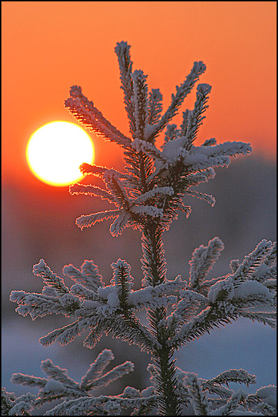 Fly-эстафета на вторник - 10 декабря