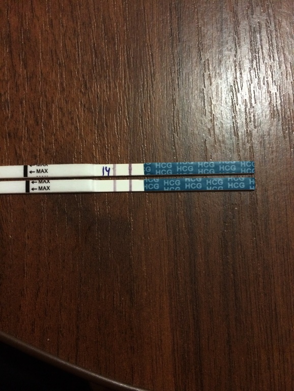 a4c880cd9016cc1e89bd3d64a56c79cb.jpg
