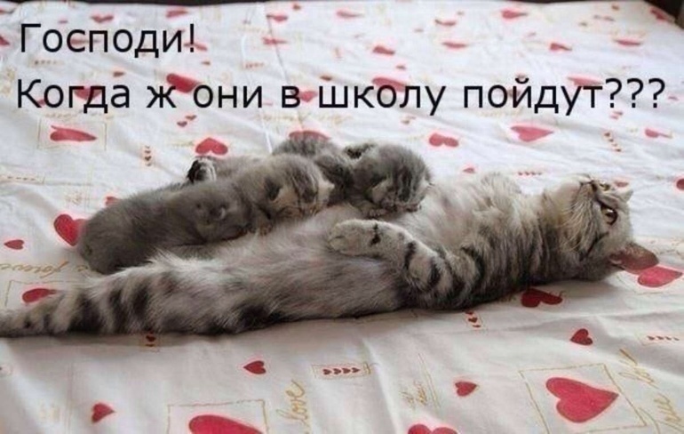 a81c92ef9a430b79e12c9d1eba7b4e7c.jpg