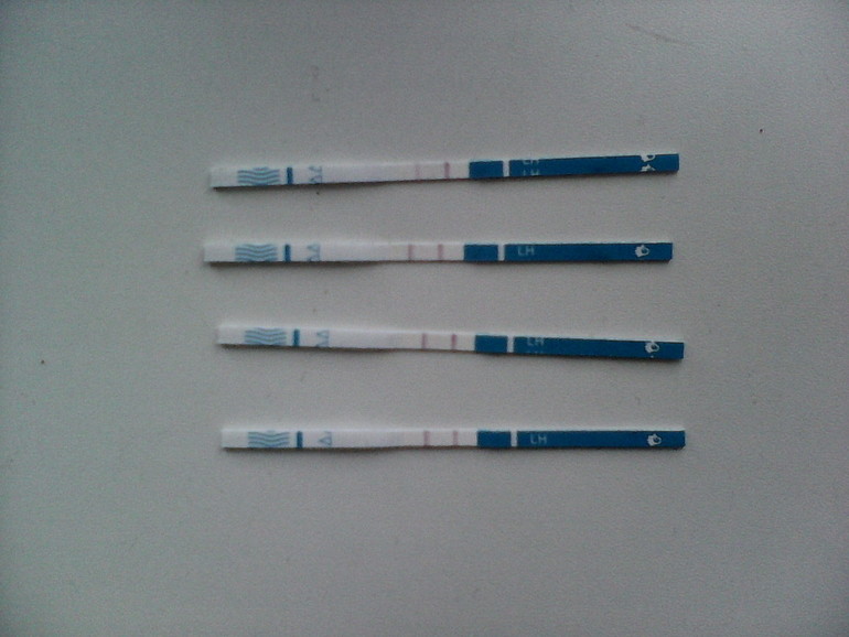 93bfa0f185fb8b48d6835ad860f432d7.jpg