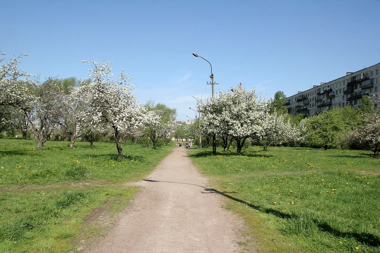 a53cde863c2e3760b0c8db5630bd5285.jpg