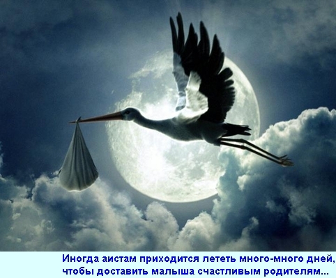 fbc523b5dd0e1b0adec5b16710069a26.jpg