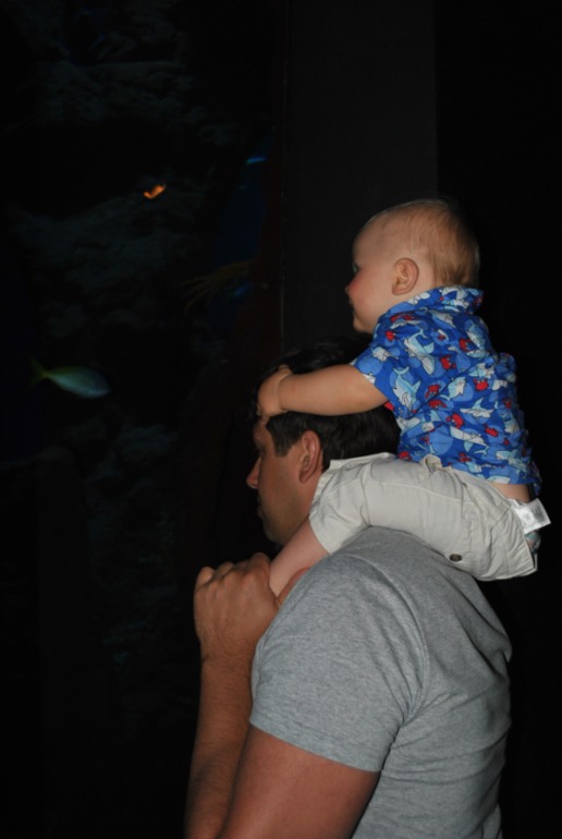 Аквариум в Монпелье!