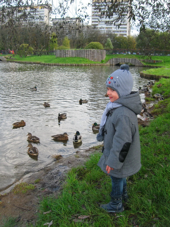 Наши осенние прогулочки!!!