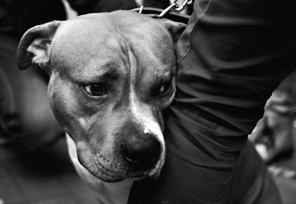 Фонд помощи