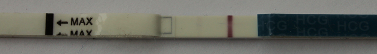 c2e6d3a79e854585d06f56e26454cc18.jpg