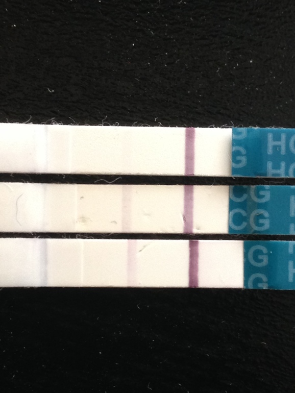 bdbbc809216d0f63397a81ada2316aba.jpg