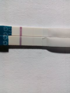 ceef18f0d70ad7feaaa375e92e80e50b.jpg