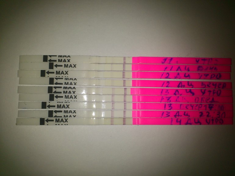 И это всё? Значит О не будет?