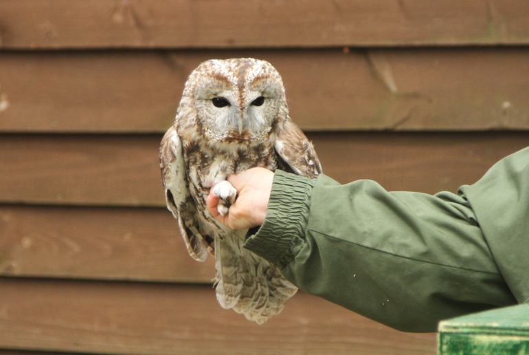 ЭПЦ «Царская пасека»