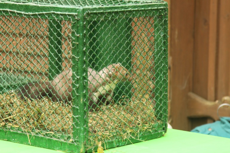 ЭПЦ «Царская пасека»