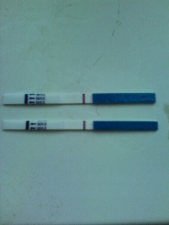 ed6f2eed5ca7851874da40538cd582ef.jpg