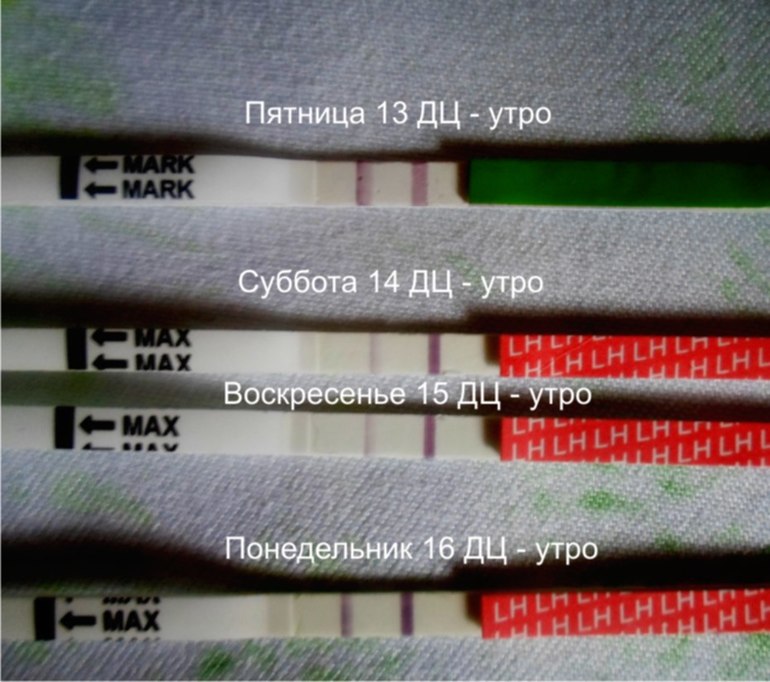 1c973165b0b9fb2a9c0f4bbfbd8b7f4d.jpg