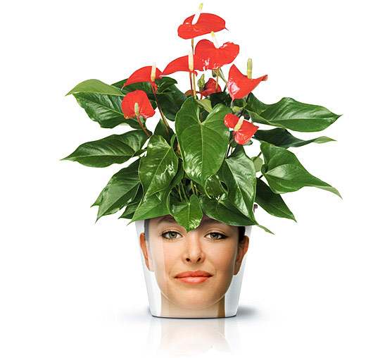 Необыкновенные горшочки