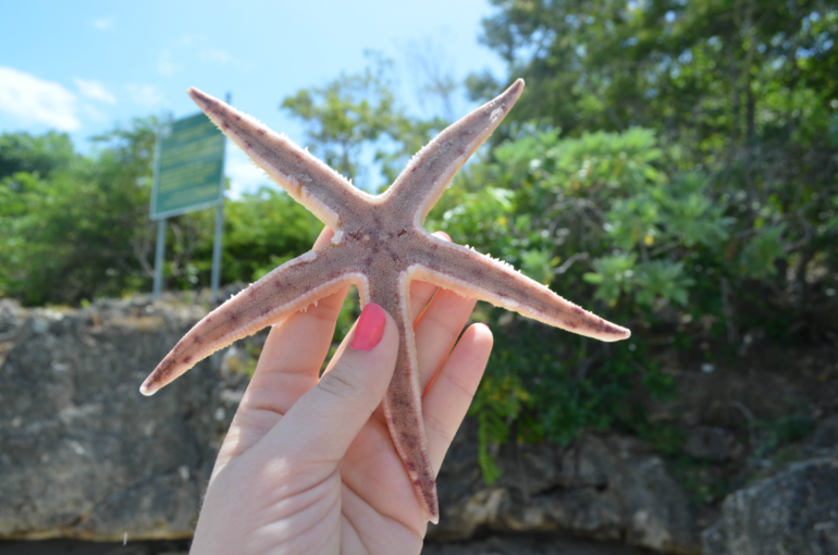 о. Маврикий, отель Constance Belle Mare Plage 5*