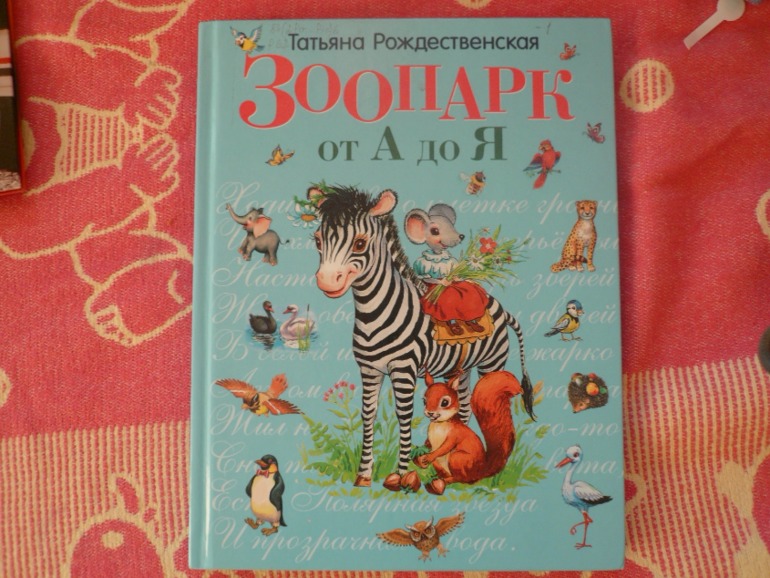 наш поход в библиотеку