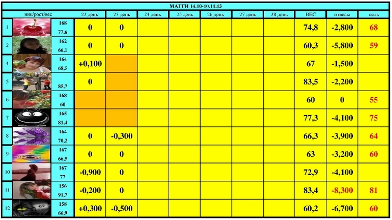 МАГГИ старт 14.10-10.11.13 (25 день)