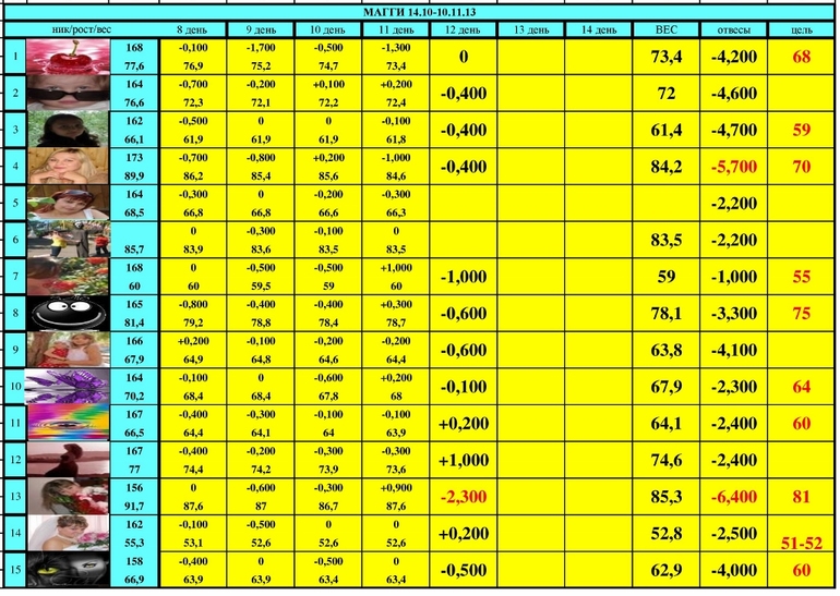 МАГГИ старт 14.10-10.11.13 (14 день)