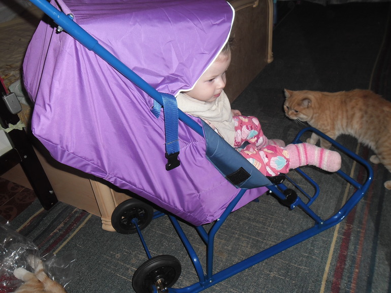 Наши саночки