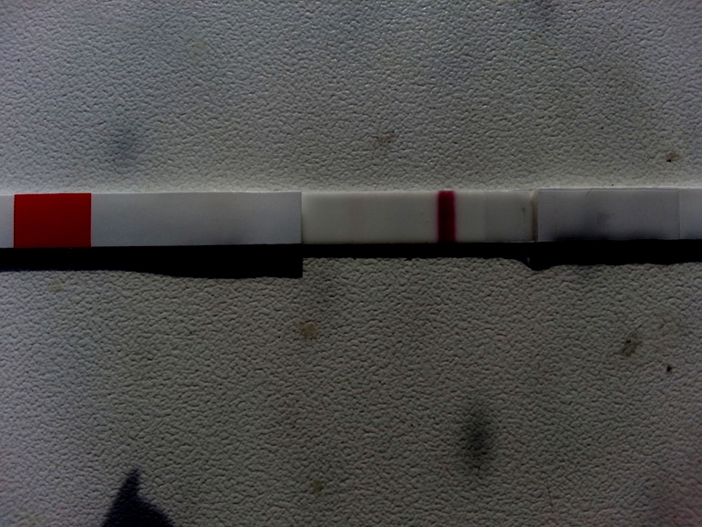 377d7fcabfadea509bde04cbd2565184.jpg