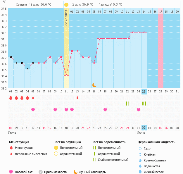 График беременности