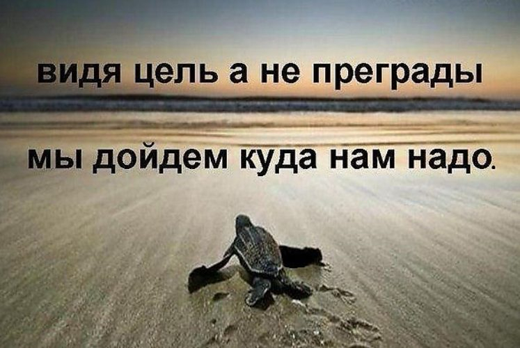 Надо жить несмотря ни на что картинки